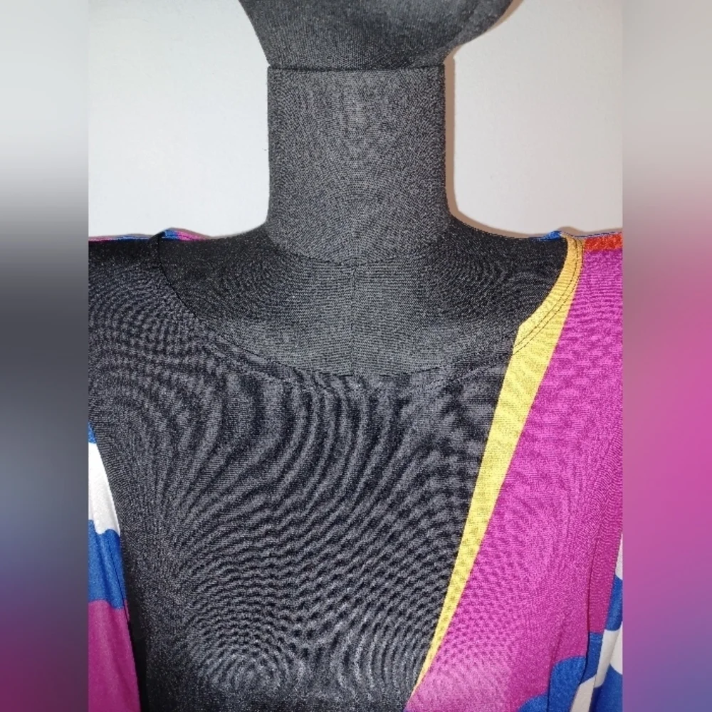 A Vintage Robbie Bee Colorblock Dress - Picture 5 of 5